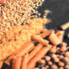 Waschbarer Küchenteppich Spice Bigan 60x300cm