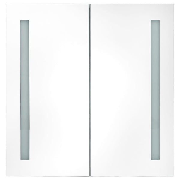 LED-Badezimmerspiegelschrank Ruge 62x14x60cm
