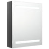 Broinas grauer LED-Spiegelschrank 50x14x60cm für das Badezimmer