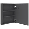 Broinas grauer LED-Spiegelschrank 50x14x60cm für das Badezimmer
