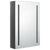 Eustis grauer Badezimmerspiegelschrank LED 50x13x70cm