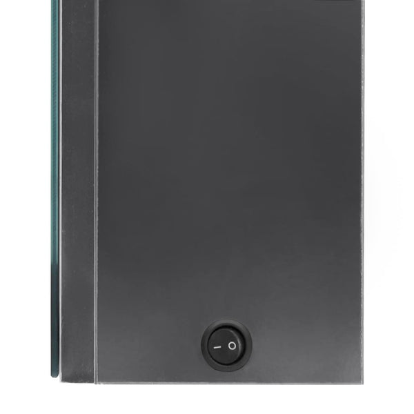 Eustis grauer Badezimmerspiegelschrank LED 50x13x70cm