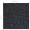 Anthrazitfarbene Schmutzfangmatte Botanica 100x100cm für den Flur