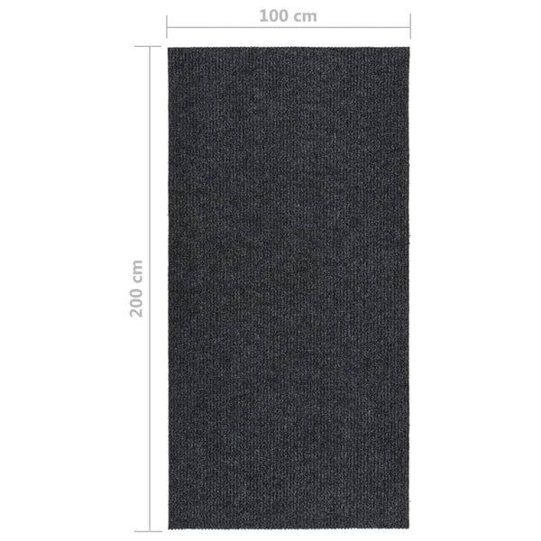 Anthrazitfarbene Schmutzfangmatte Botanica 100x200cm für den Flur