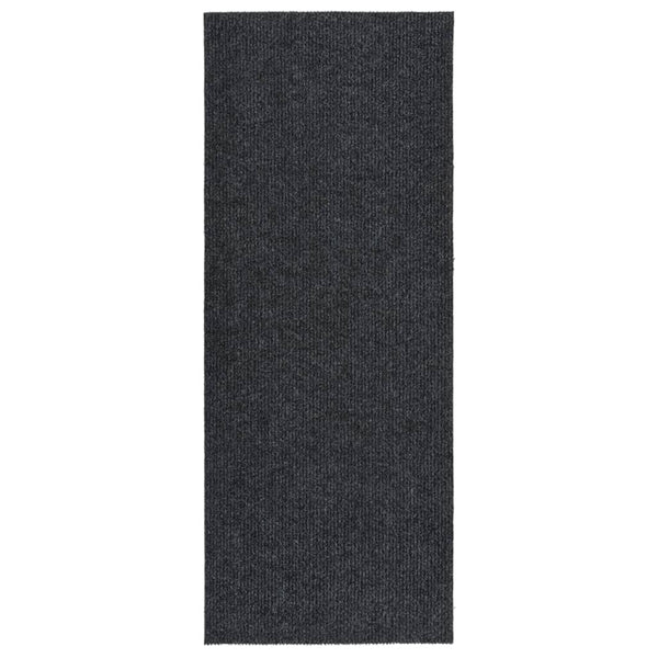 Schmutzfangmatte Botanica Anthrazit 100x250cm für den Flur