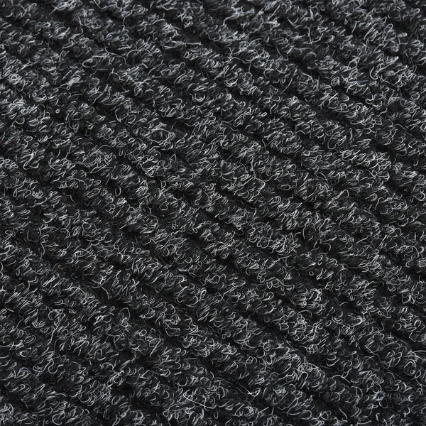 Schmutzfangmatte Botanica Anthrazit 100x250cm für den Flur