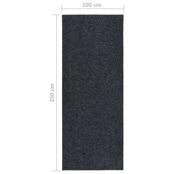 Schmutzfangmatte Botanica Anthrazit 100x250cm für den Flur