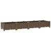 Abelardo 160x40x23cm Hochbeet (Polypropylen)