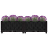 Abelardo Hochbeet 80x40x23cm (Polypropylen)