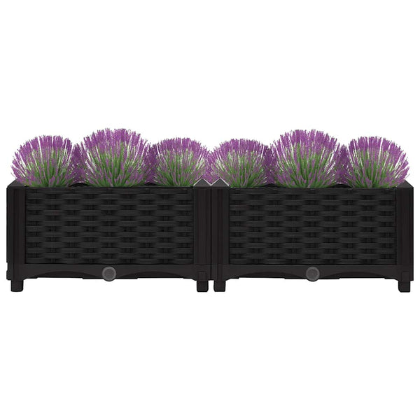 Abelardo Hochbeet 80x40x23cm (Polypropylen)