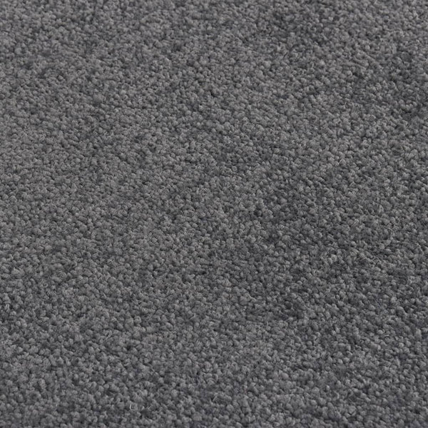 Antrazit Fußmatte Holly 80x120cm