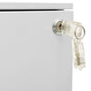 Hellgrauer Archivschrank verschiebbar Carey 39x45x60cm (Stahl)