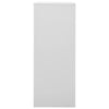 Hellgrauer Büroschrank Neculce 90x40x102cm (Stahl)