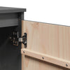 Grauer Beistellschrank Lubia 60x36x65cm (Kiefer)