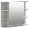 Spiegelwandschrank betongrau mit LED-Beleuchtung Roby 70x16,5x60cm