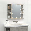 Spiegelwandschrank betongrau mit LED-Beleuchtung Roby 70x16,5x60cm