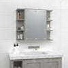 Spiegelwandschrank betongrau mit LED-Beleuchtung Roby 70x16,5x60cm