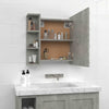 Spiegelwandschrank betongrau mit LED-Beleuchtung Roby 70x16,5x60cm