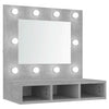 Spiegelschrank betonfarben mit LED-Beleuchtung Bliznicov 60x31,5x62cm