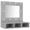 Spiegelschrank betonfarben mit LED-Beleuchtung Bliznicov 60x31,5x62cm