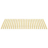 Lattenrost Swied 24 Latten 100x200cm