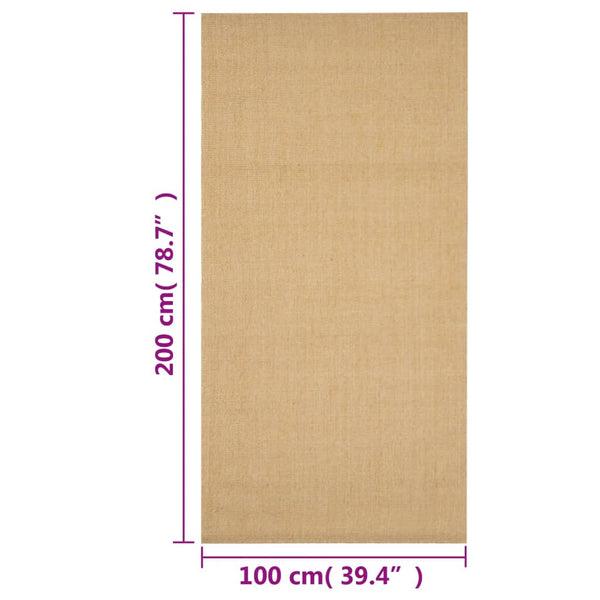 Teppich Natur Sisal Faraoanu 100x200cm