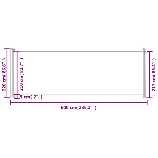 Graue einziehbare Terrassenseitenmarkise Snr 220x600cm