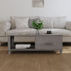 Hellgrauer Couchtisch Hamar Amuza 100x55x35cm (Kiefer)