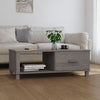 Hellgrauer Couchtisch Hamar Amuza 100x55x35cm (Kiefer)