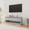 Graues TV-Möbel Retezan 102x41x44cm (Holz)