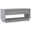 Graues TV-Möbel Retezan 102x41x44cm (Holz)