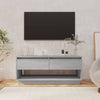 Graues TV-Möbel Retezan 102x41x44cm (Holz)
