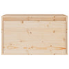 Wandschrank Manolachi 60x30x35cm (Kiefer)