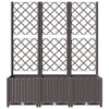 Brauner Blumenkasten mit Spalier Ticu 120x40x136cm (PP)