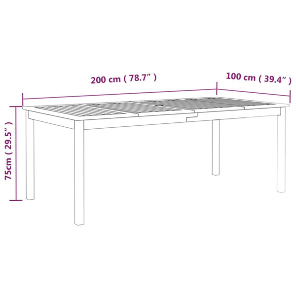 Gartentisch Talito grau 200x100x75cm (Akazienholz)