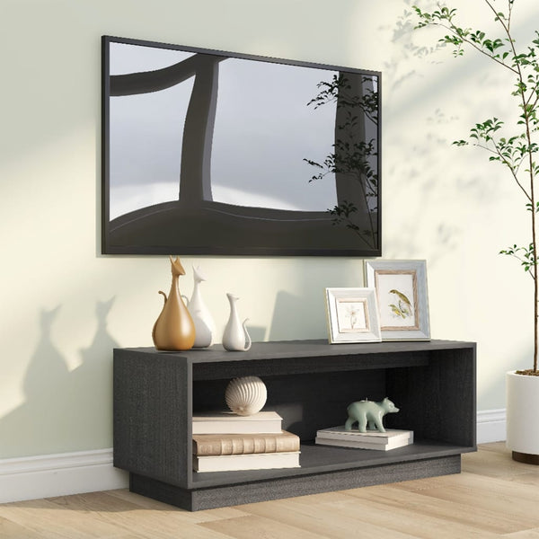 Graues TV-Möbel Bradin 90x35x35cm (Kiefer)