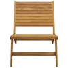 Gartenstuhl Vlascianu (Teak)