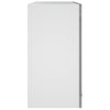 Grauer Hängeschrank Pompilas 60x31x60cm (Holz)