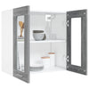 Grauer Hängeschrank Pompilas 60x31x60cm (Holz)