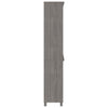 Hellgrauer Schrank Hamar Frig (Kiefer)