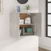Wandschrank Pisarov 60x30x60cm (Holz), betongrau