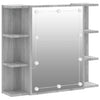 Grauer Spiegelschrank mit LED-Beleuchtung Roby 70x16,5x60cm