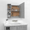 Grauer Spiegelschrank mit LED-Beleuchtung Roby 70x16,5x60cm