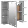 Grauer Spiegelschrank mit LED-Beleuchtung Roby 70x16,5x60cm