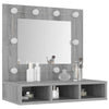 Grauer Spiegelschrank mit LED-Beleuchtung Bliznicov 60x31,5x62cm