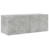 Betongraues TV-Schrank-Set Bindar 4-teilig (Holz)
