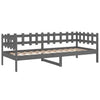 Graues Schlafsofa Barza 80x200cm (Kiefer)