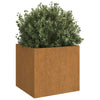 Corten teräs kukkalaatikot Eusebie 49x47x46cm (2 kpl)