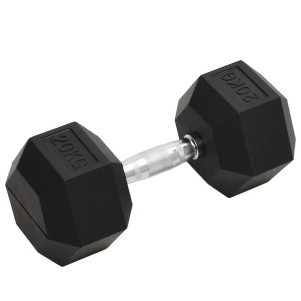 20 kg Hantel aus Gusseisen