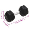 20 kg Hantel aus Gusseisen